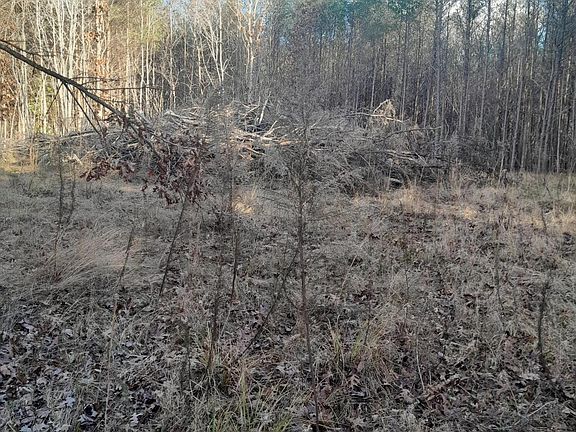4th image of 0 Meadow Ln