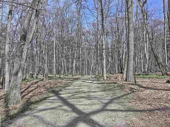 3rd image of 3852 S East Torch Lake Dr