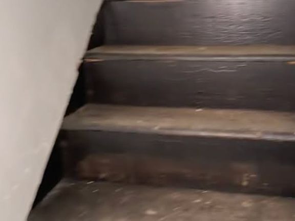 4th image of 1021 E Williams St
