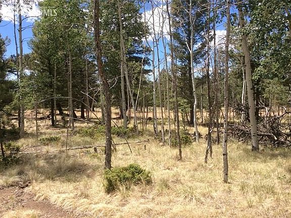 5th image of 370 Crystal Peak Dr