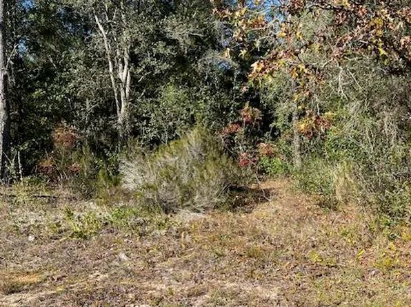 104 OAK Way, Interlachen, FL 32148