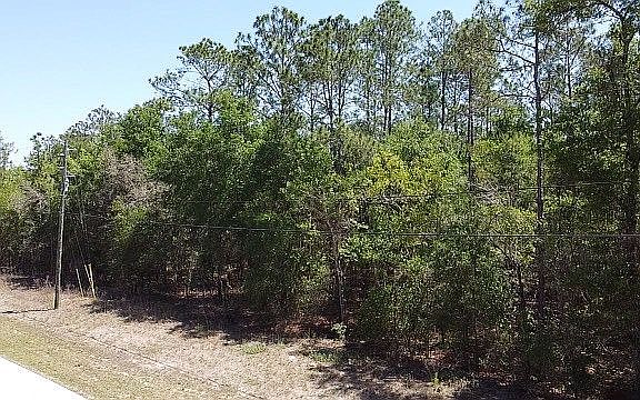 5th image of 9517 N Country Club Way