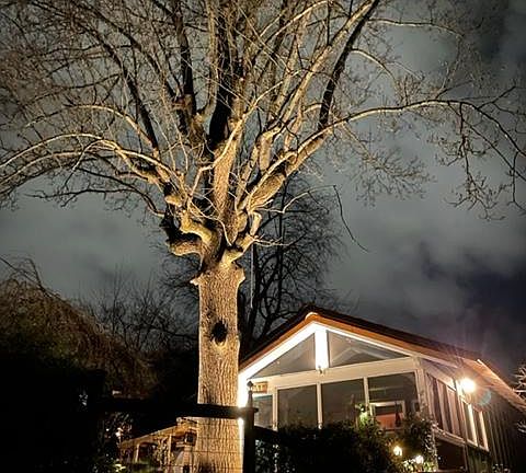 Even in winter and at night your home has its own warm charm.