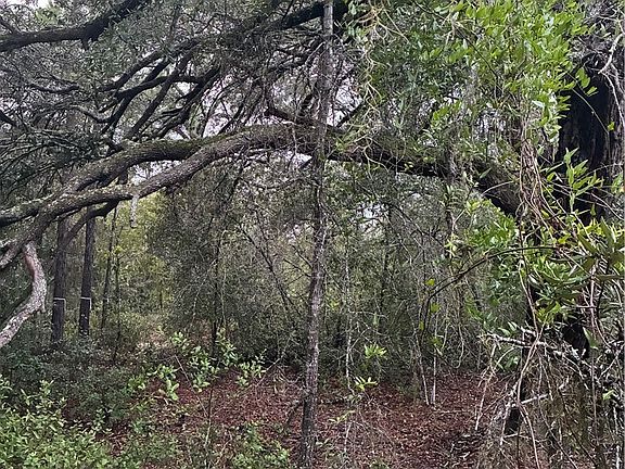 4th image of 8862 N Spartan Dr