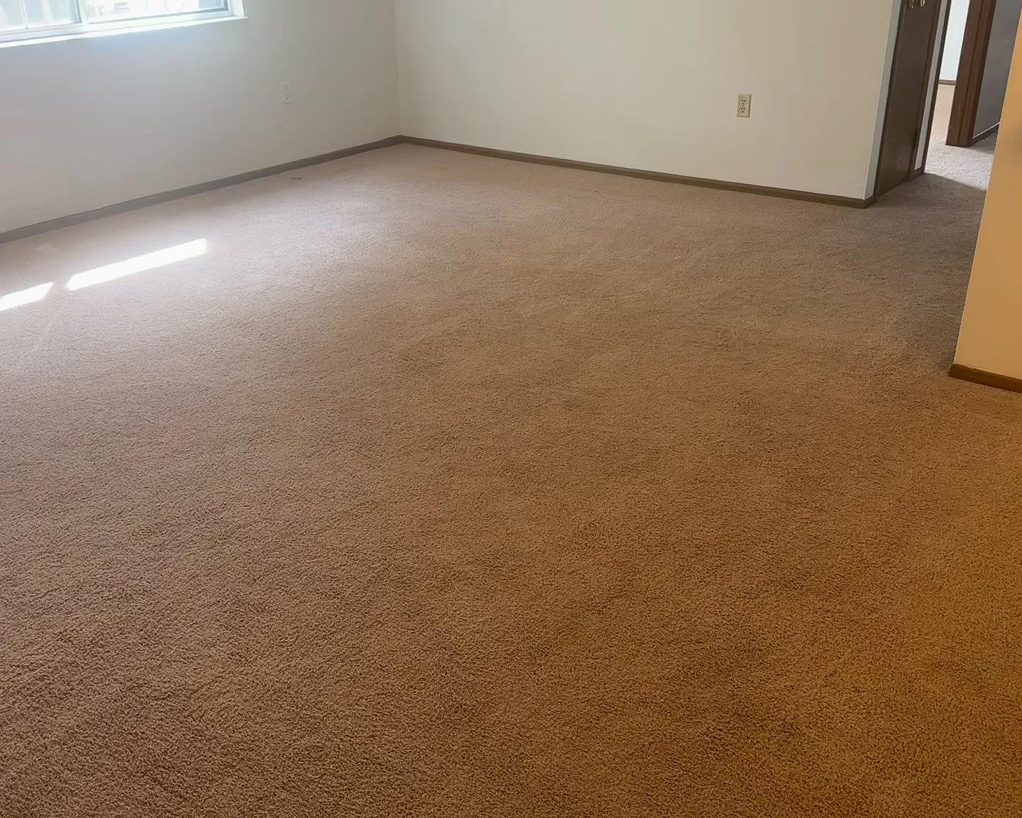 2 bed, 924 sqft, $975 — Photo 2