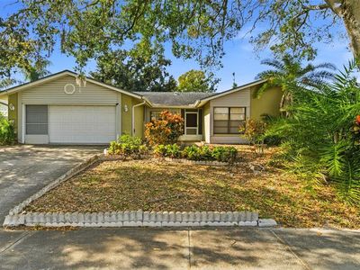 15606 Farnsworth Ln, Tampa, FL, 33624