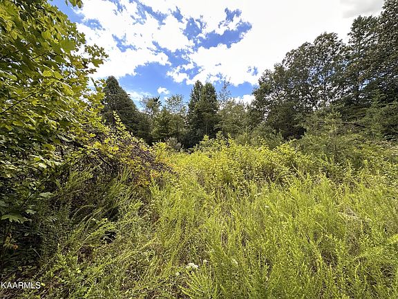 2nd image of 337 Panther Branch Ct