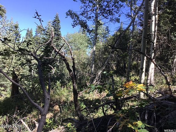3rd image of 741 W Forgotten Ln #Fm-d-96