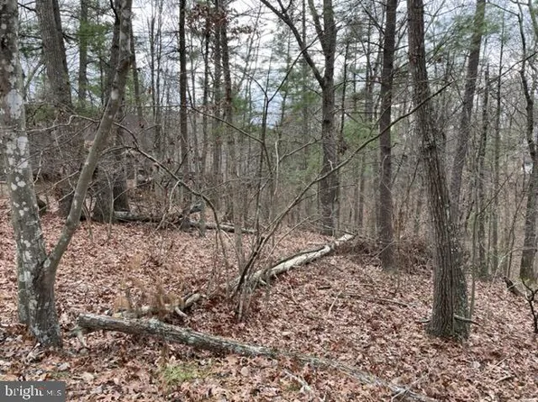 0 Snead Ln, Basye, VA 22810