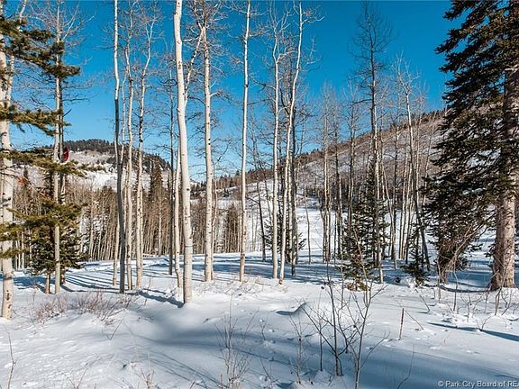 2nd image of 302 White Pine Canyon Rd #302