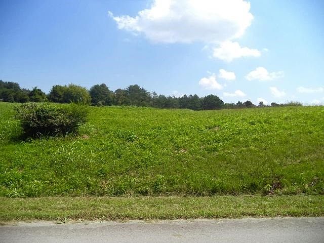 1st image of 0 Marble Bluff Dr Lot 137