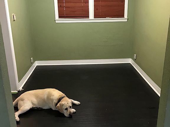 pet friendly dining room