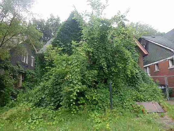 14660 Mayfield