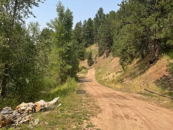 11425 Blacktail Bench Rd, Lead, SD 57754