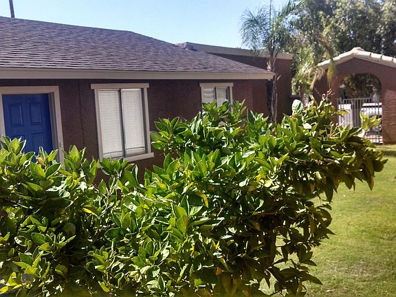 4th image of 4461 W Taro Dr