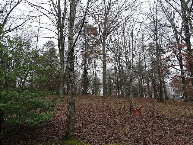 1st image of 16 Maple Dr