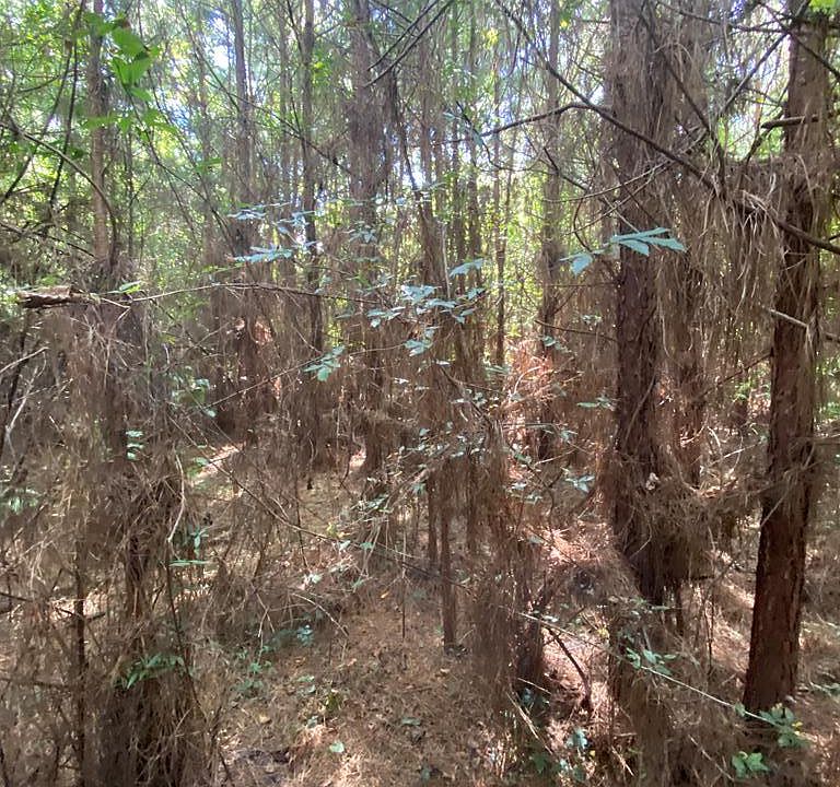 4039 S Dixie Garden Rd Wesson, MS, 39191 Apartments for Rent Zillow