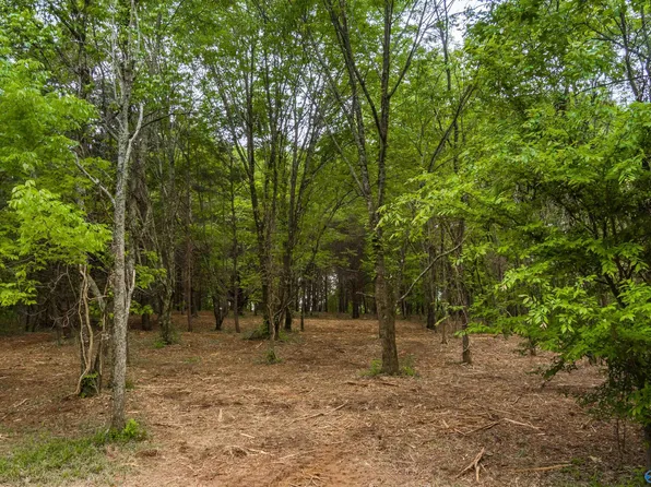 County Road 107, Fort Payne, AL 35967