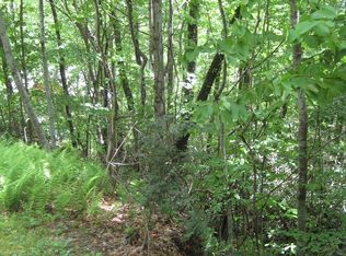 56 Toxaway Ln, Cashiers, NC 28774