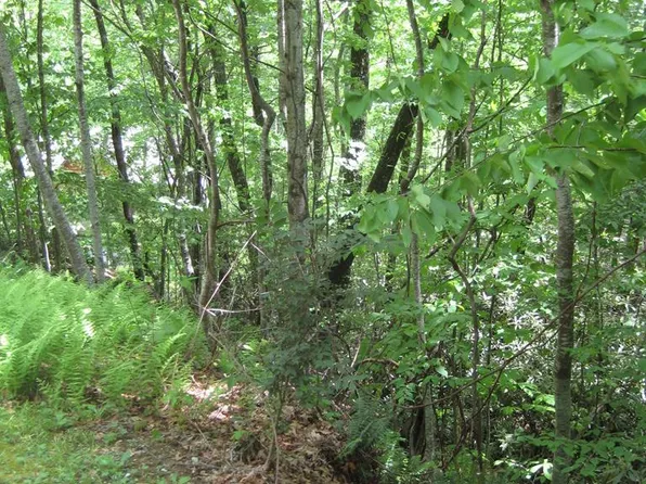 56 Toxaway Ln, Cashiers, NC 28774