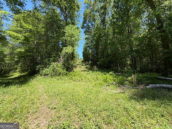 4th image of Wallace Gray Rd