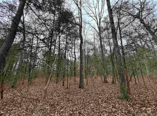 433 Cody Dr, Clinton, AR 72031