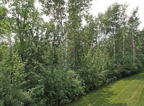 3rd image of 489 Stonewood Ln