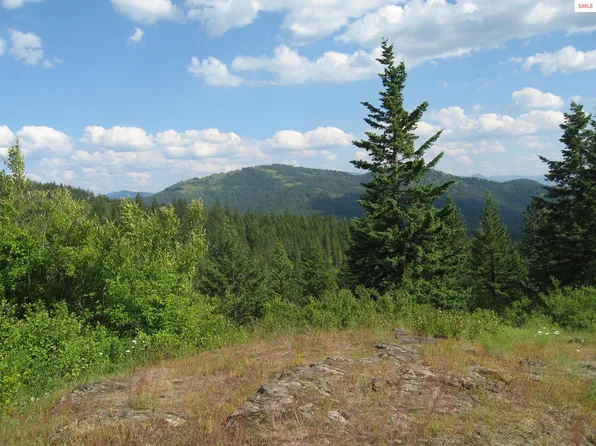 Nka Sheas Way, Sagle, ID 83860