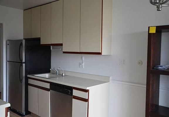 kitchen fridge & dishwasher