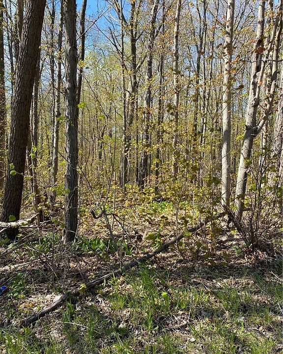 River Rd, Perry, OH 44081 MLS 4371601 Zillow