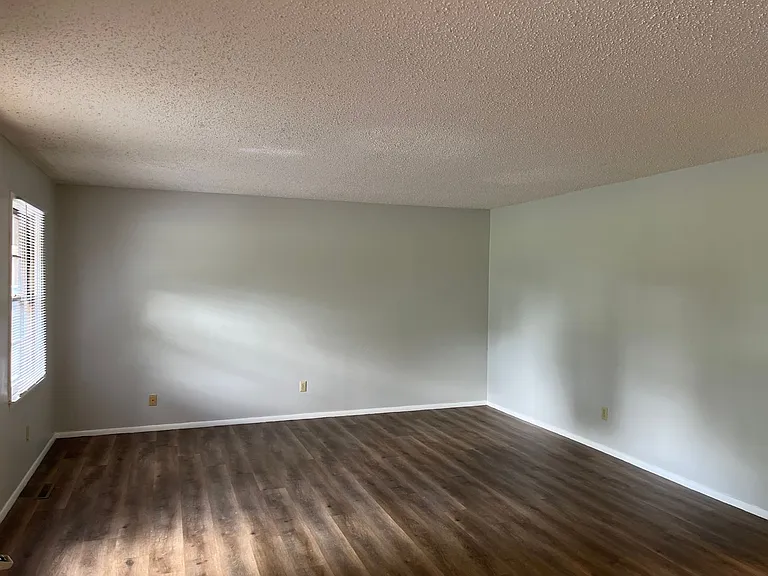 tifvil — Photo 3
