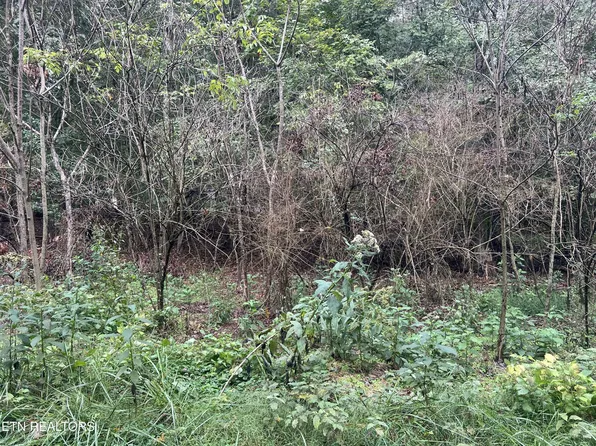 30 Ridge Dr Lot 30, Kingston, TN 37763