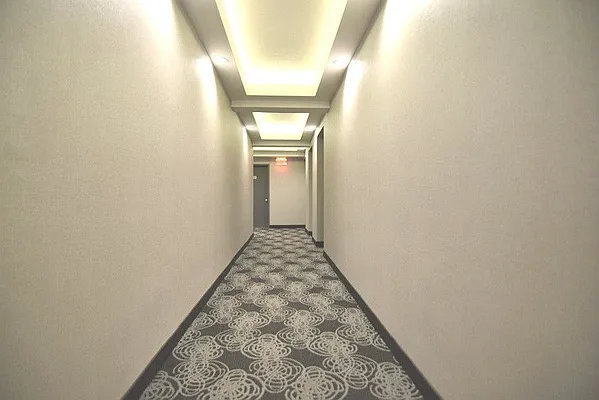 Rented by Bold New York | media 15