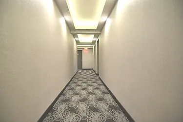 Rented by Bold New York