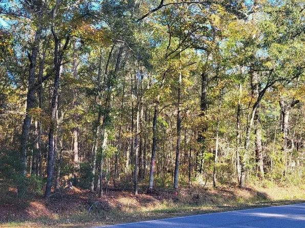 407 Wade Hampton Road, Hampton, SC 29924