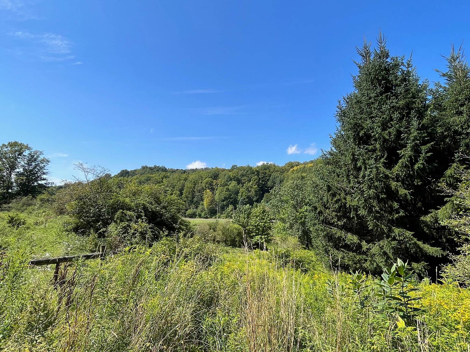 Vl E Otto Springville Rd, East Otto, NY 14729 MLS 11203144 Zillow