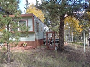 225 Bird Point Rd, Florissant, CO 80816