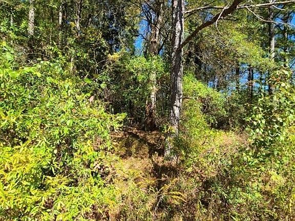 3rd image of 0 Scarlett Ln NE