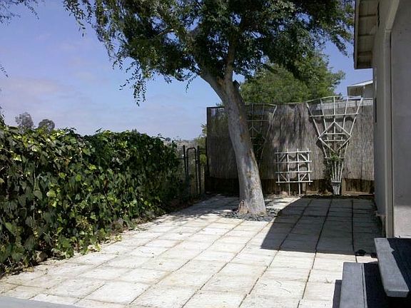 Low maintenance backyard