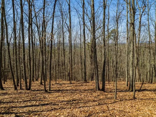 35 Heatherwood Way, Talking Rock, GA 30175