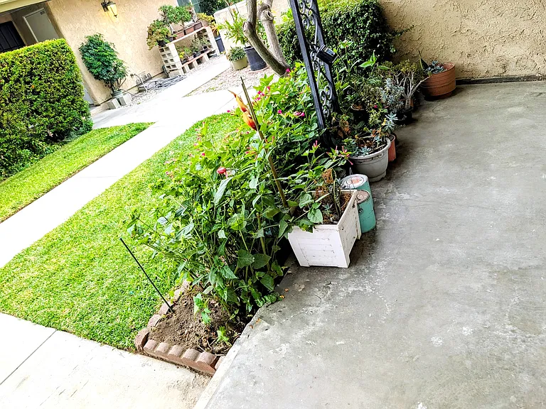 5821 Oak Ave #B — Photo 24