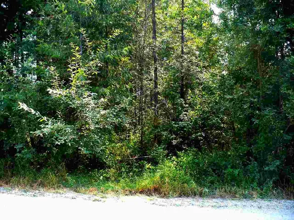 40259 Evan Rd, Loon Lake, WA 99148