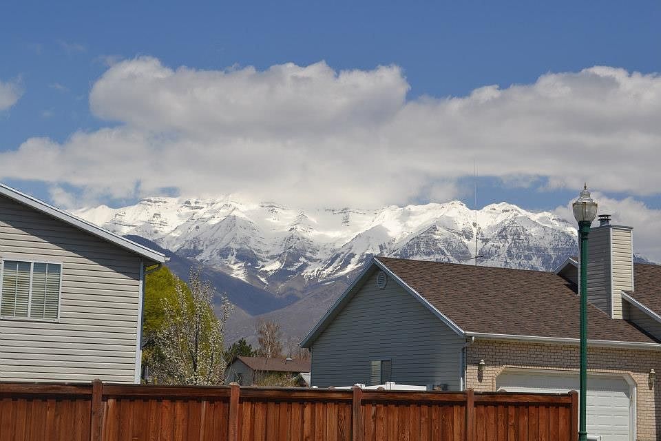 View from front window