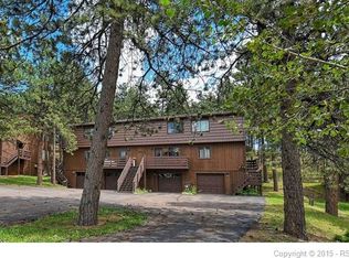 580 Manor Ct APT B, Woodland Park, CO 80863