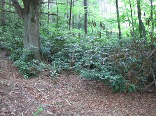 Lot 5 Clarks Ln, newland, NC 28657