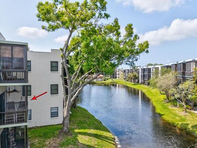 5980 Terrace Park Dr N Unit 214, Saint Petersburg, FL, 33709