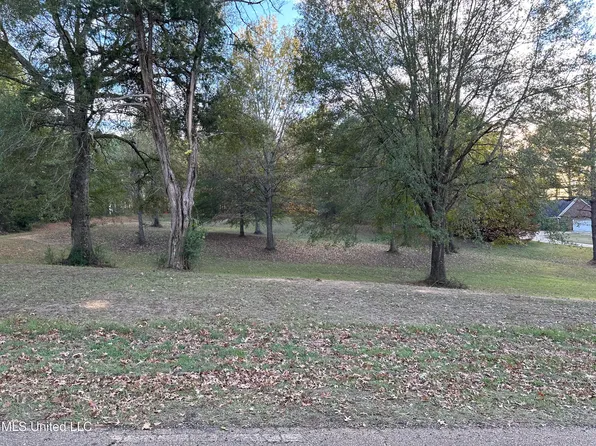 LOT 1 Olivia Ln Lot 1, Terry, MS 39170