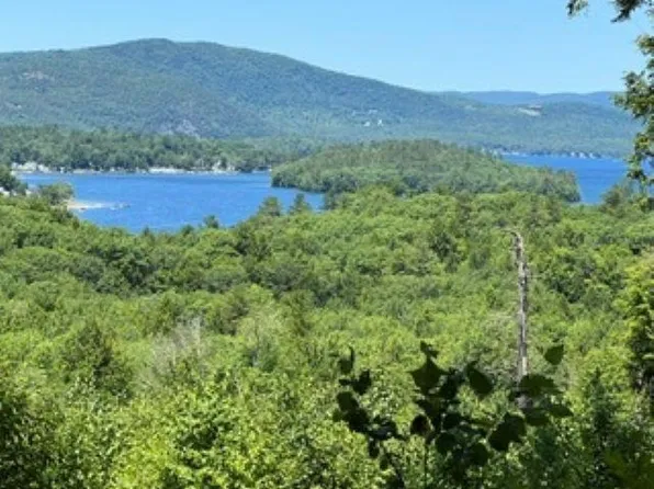 207 Overlook Drive #217-133-1, Bristol, NH 03222