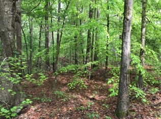 217 Levi Cooper Rd, Braxton, MS 39044