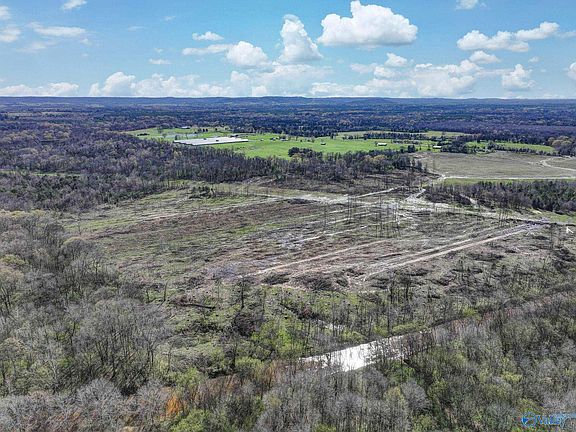 2nd image of 90/ACRE S County Road 39